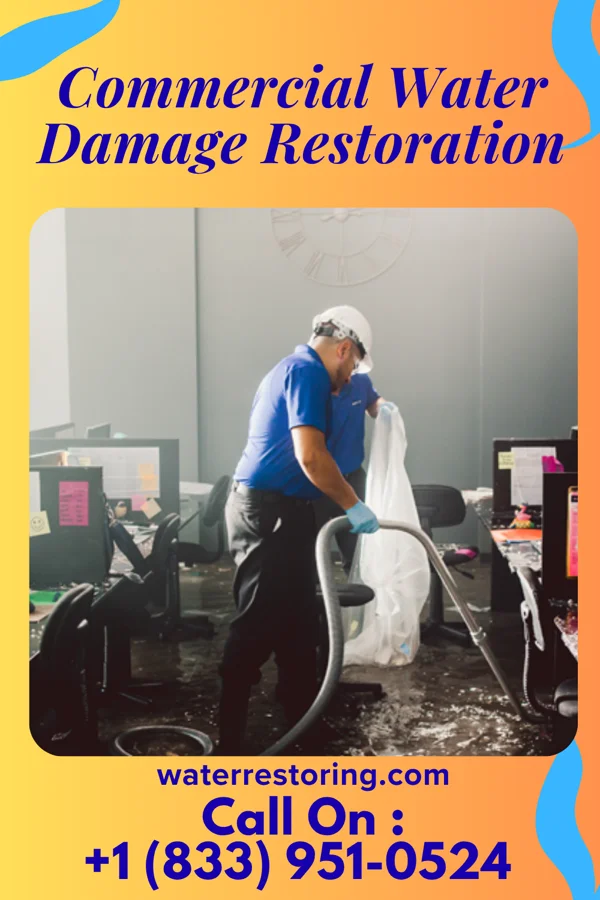 Commercial Water Damage Restoration in Scotland Neck, NC