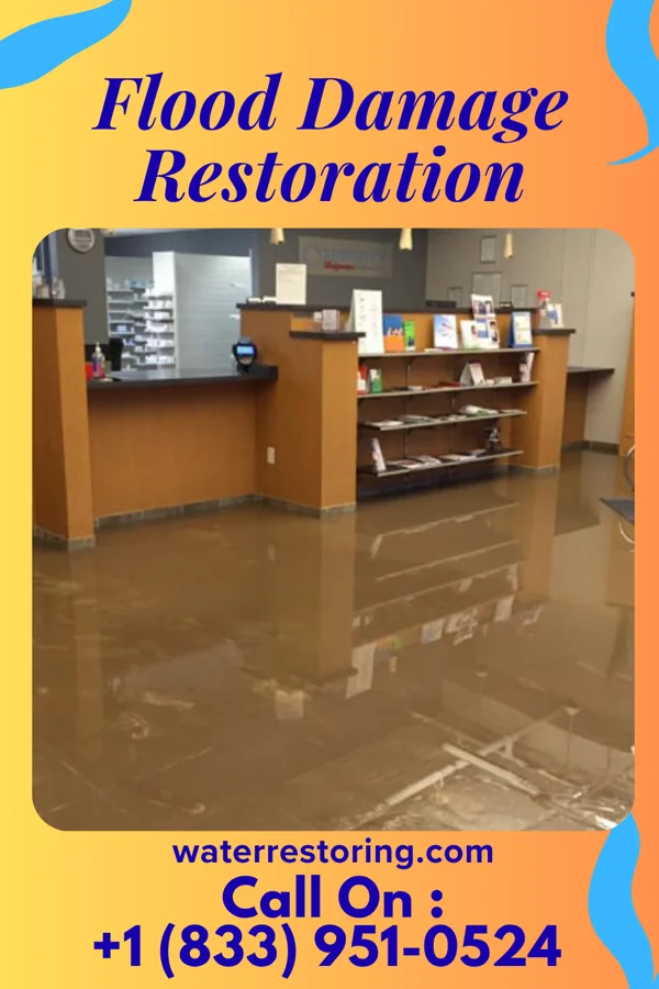 Flood Damage Restoration in Scotland Neck, NC